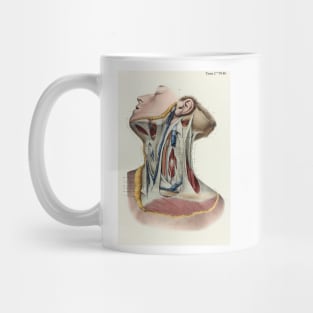 Neck fascia, 1866 illustration (C042/4634) Mug